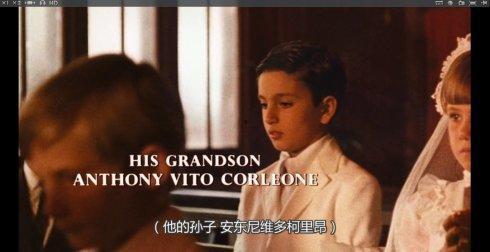 教父2完整版在线观看,权力传承与家族荣耀的永恒传奇  第3张